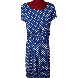 Blue Polka Dot Dress Size Large